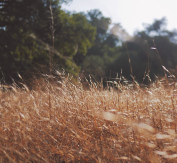 篮协重磅决定：女篮再次集训，球迷：这4人不抛弃集训半年也无用